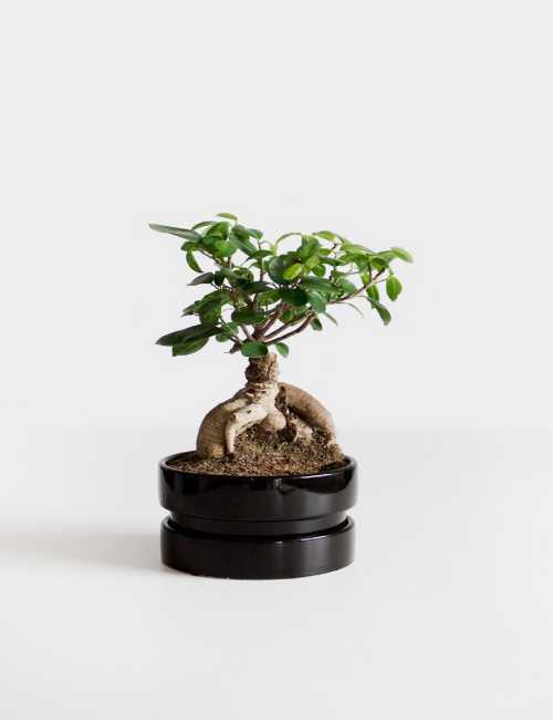 清明节的朋友圈说说