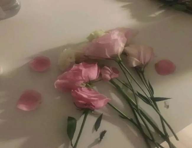 立夏发朋友圈说说